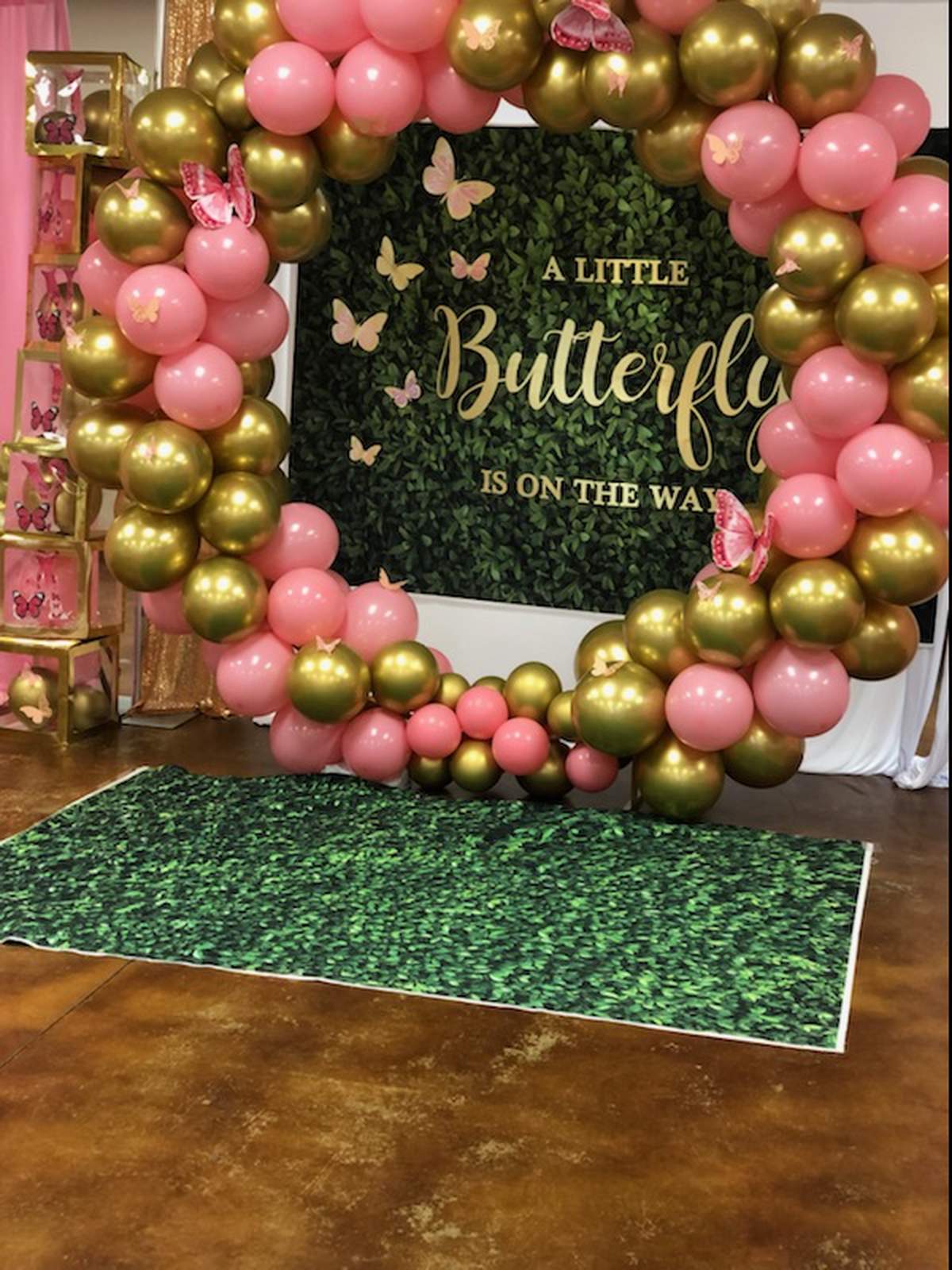 Butterfly garden - Butterfly garden