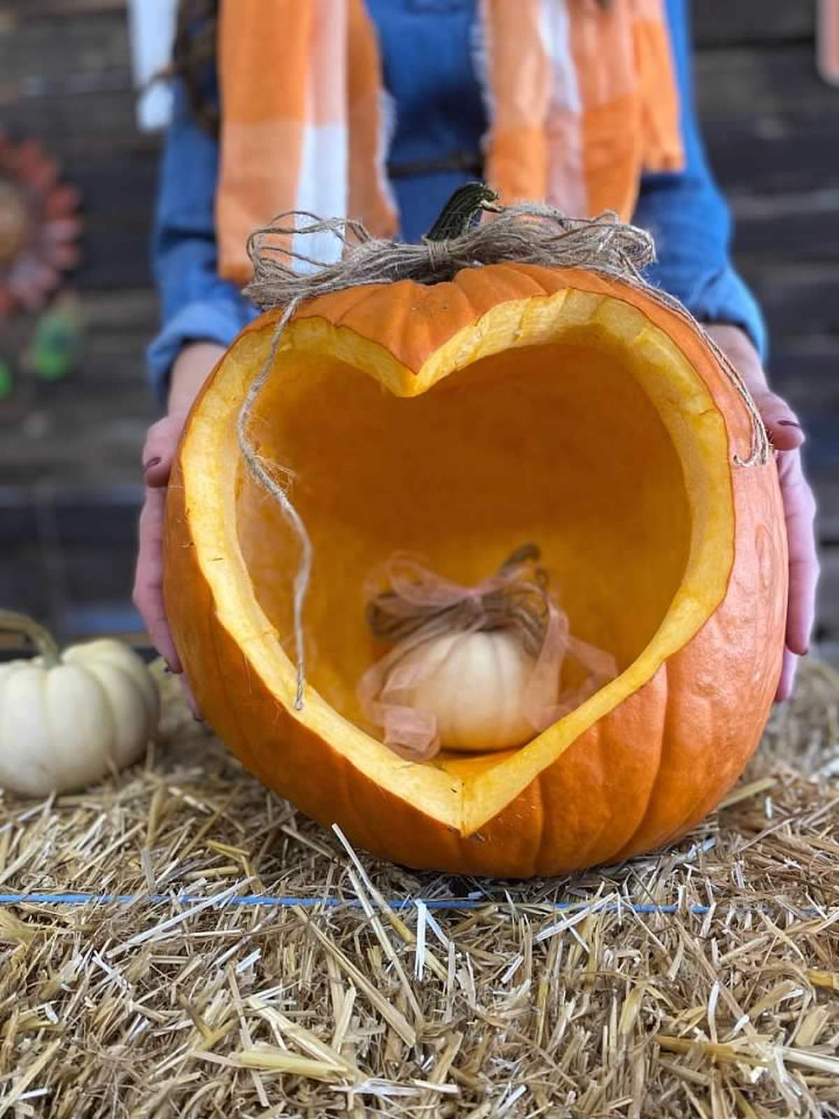 Welcome to the Patch  - Pumpkins/Fall 