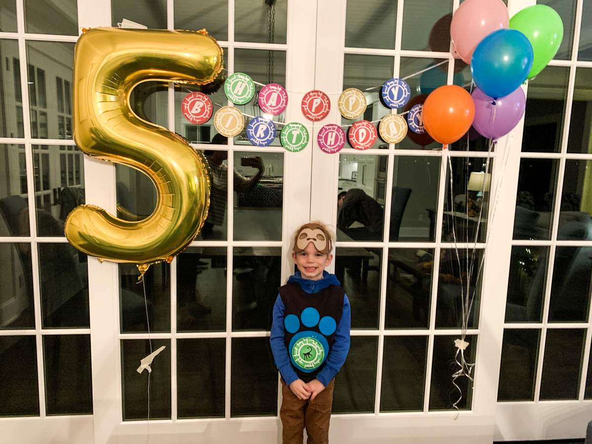 Wild Kratts Birthday Party - Wild Kratts