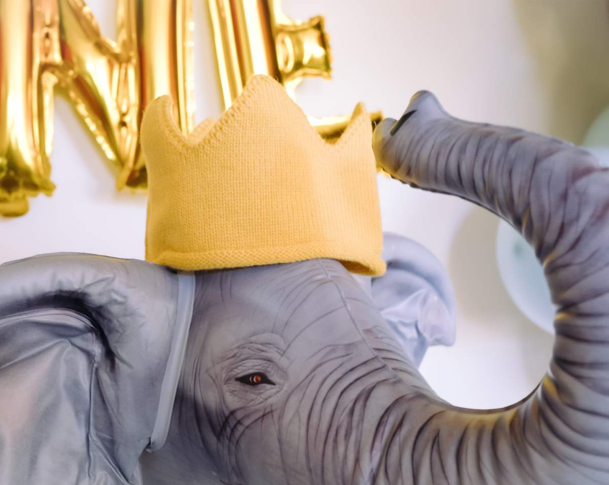 Wild One Theme Party Food