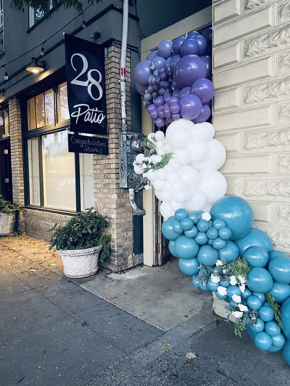 Sharas Bat Mitzvah  - Balloons and butterflies 