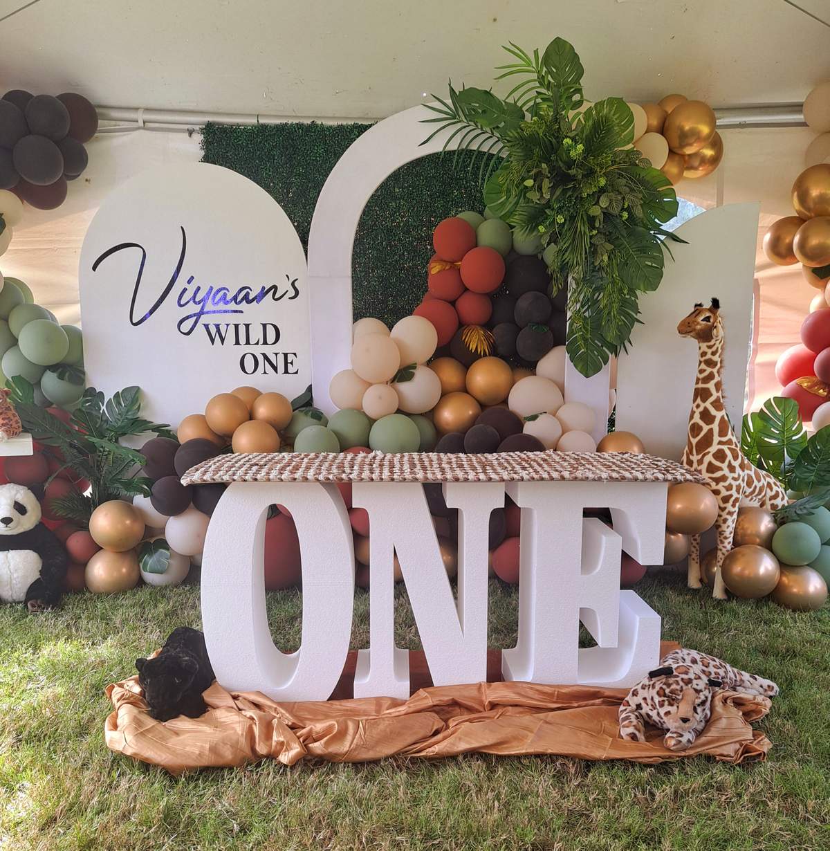 Viyaan's Wild One - Safari 
