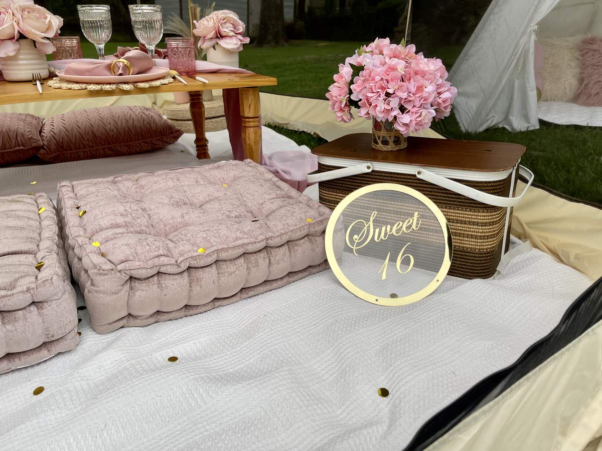 Luxury Sweet 16 Birthday Party - Shades of Pink