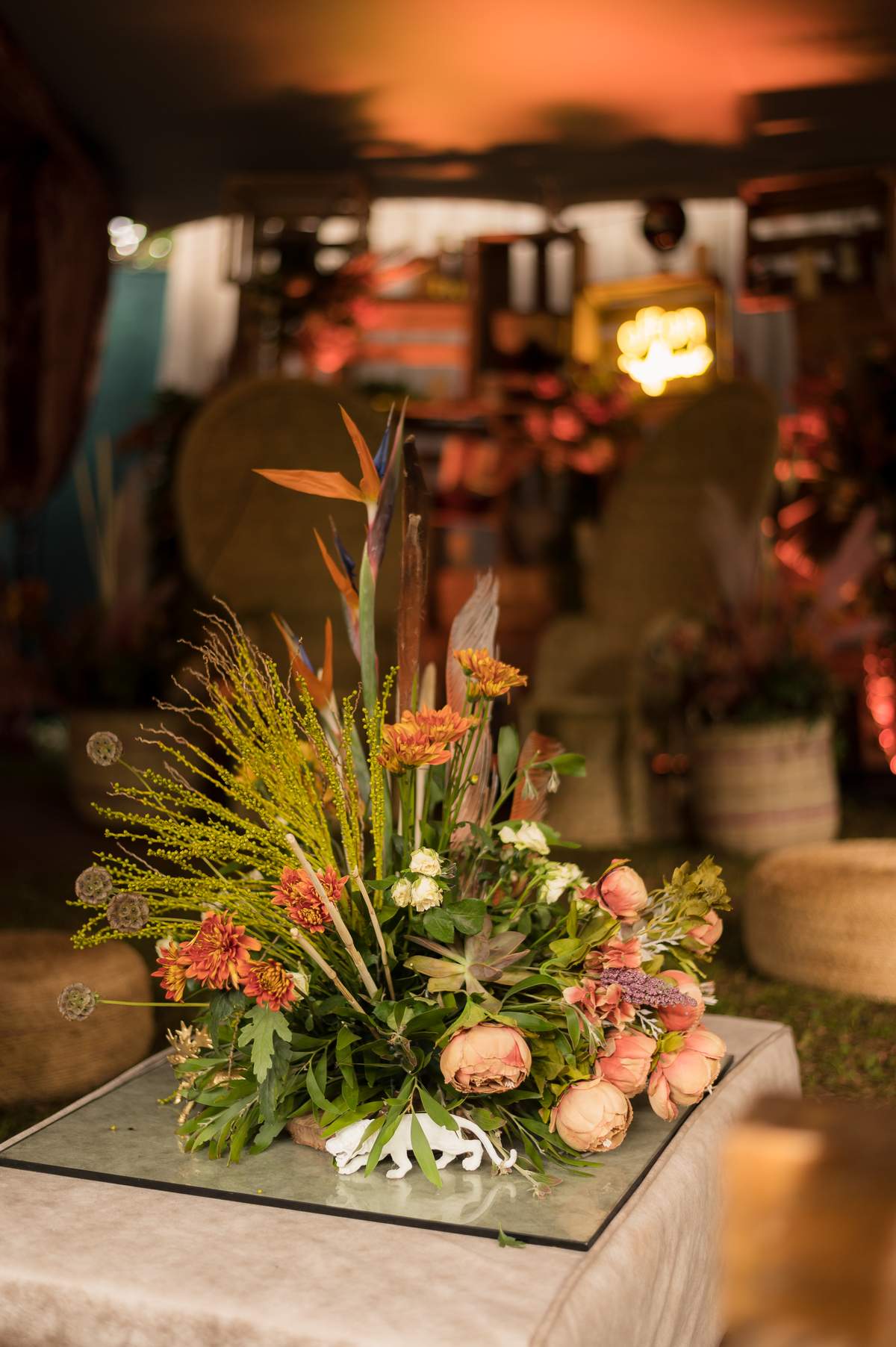 Safari Soiree - Safari