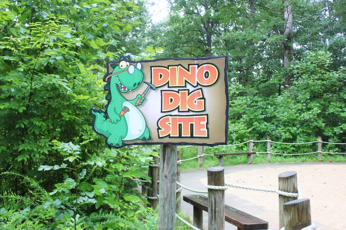 DINOSoiree - Dinosaurs