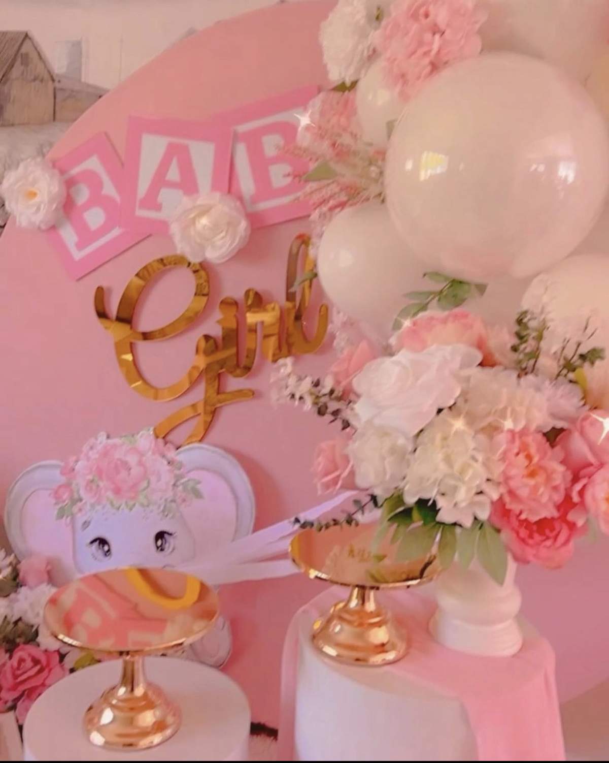 Elephant girl baby shower / Baby Shower "A little peanut is on the way