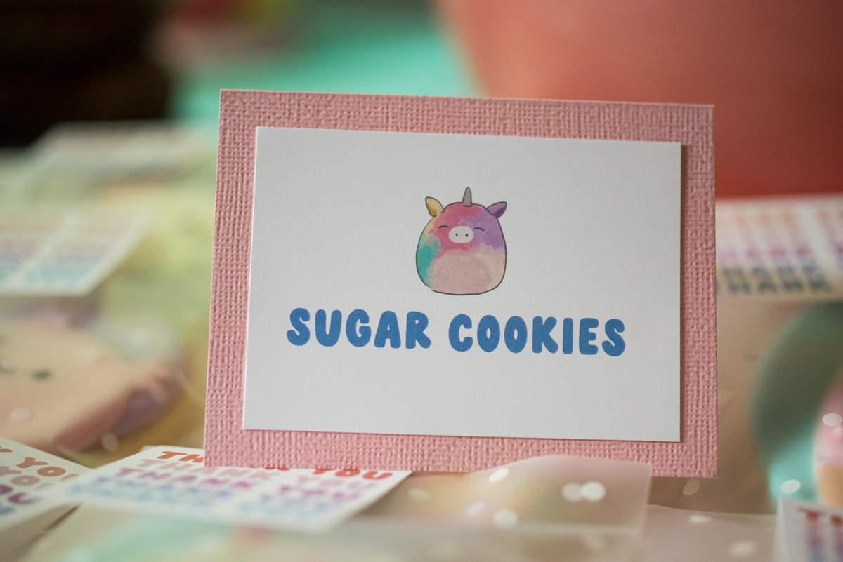 Squishmallows Birthday Party Ideas | Photo 1 of 77 | Catch My Party