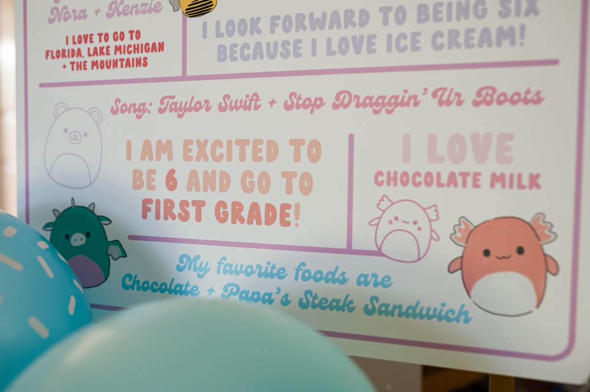 Squishmallows Birthday Party Ideas | Photo 1 of 77 | Catch My Party