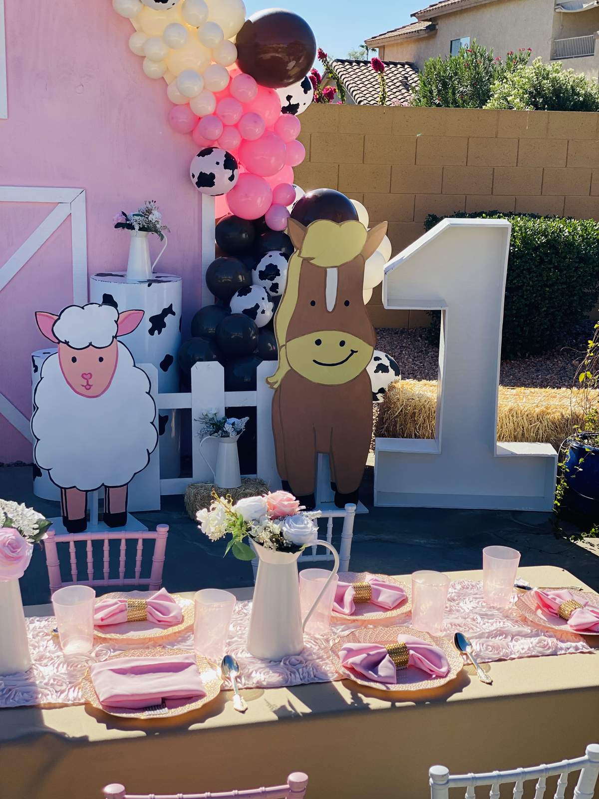 La Granja De Zenon Birthday Backdrop - 7x5FT Farm Theme Party Background For Events & Photography