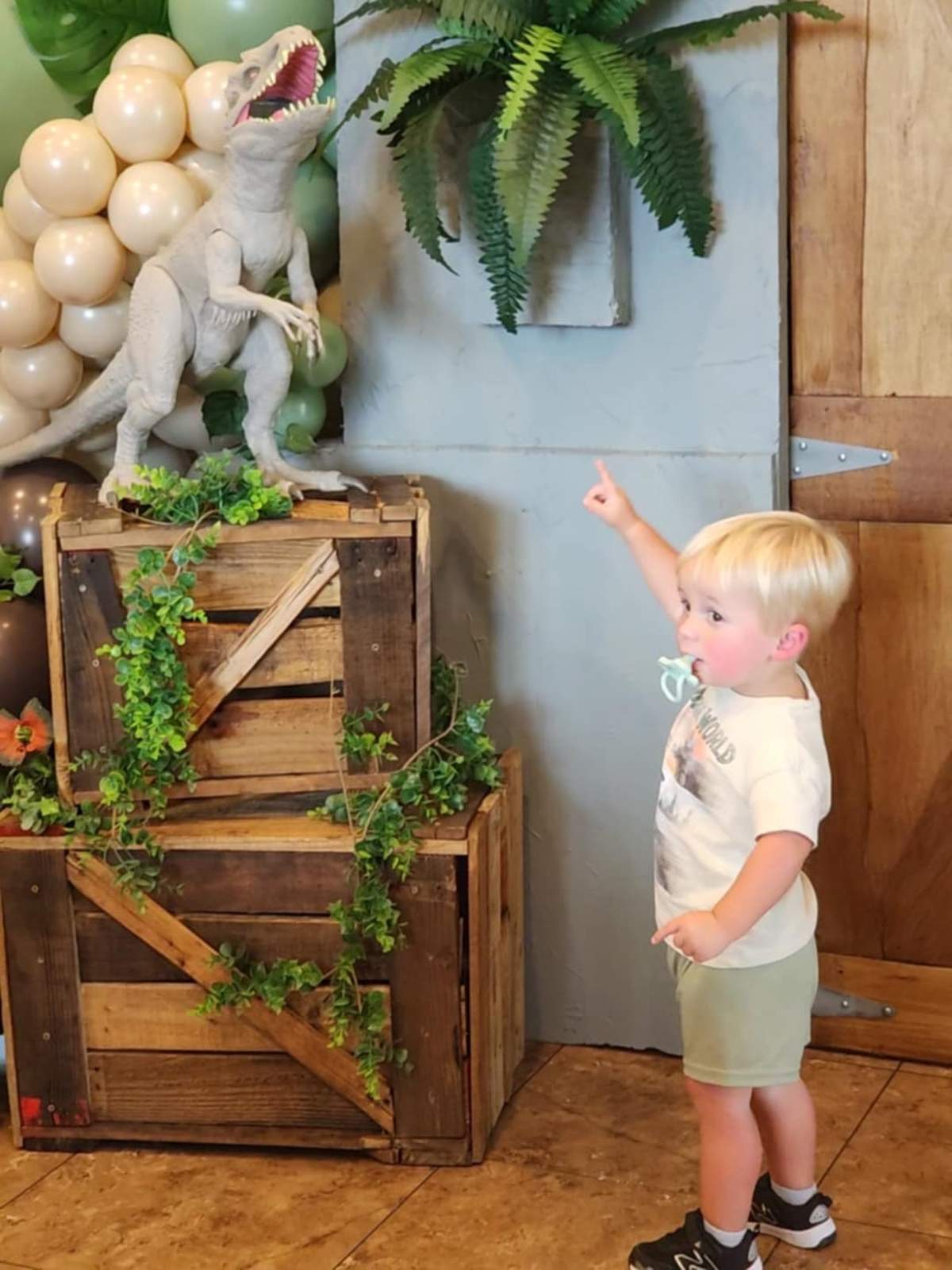 Jurassic Park Birthday Party Ideas | Photo 5 of 40 | Catch My Party