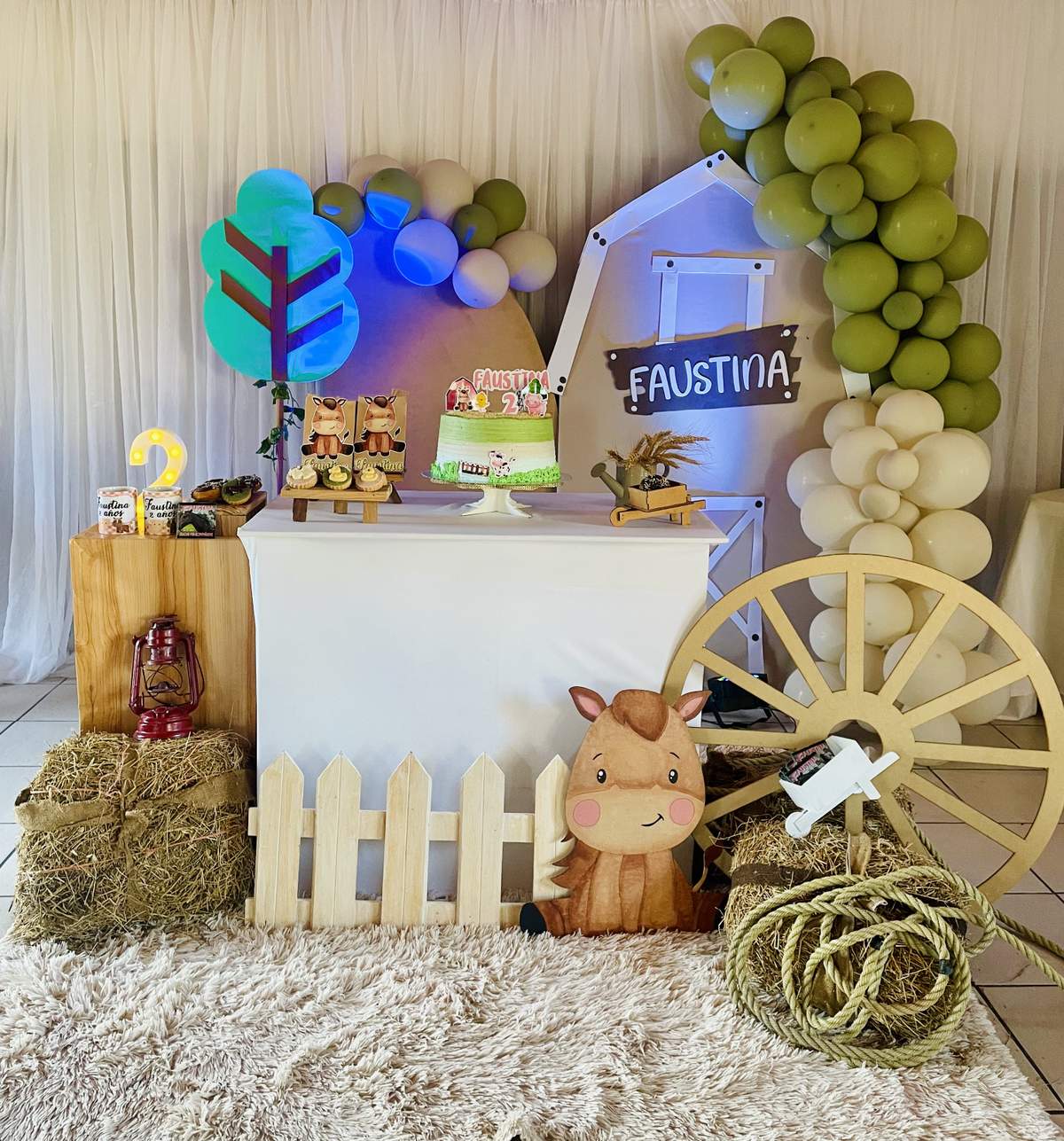 Faustina's two years - Pony/Horse