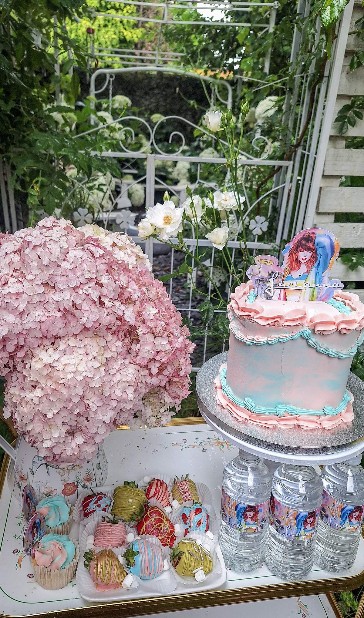 Lucianna s Taylor swift garden party - Taylor swift 