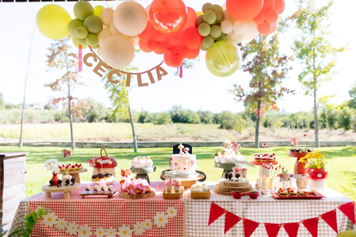 Cecília´s First Birthday! - Picnic