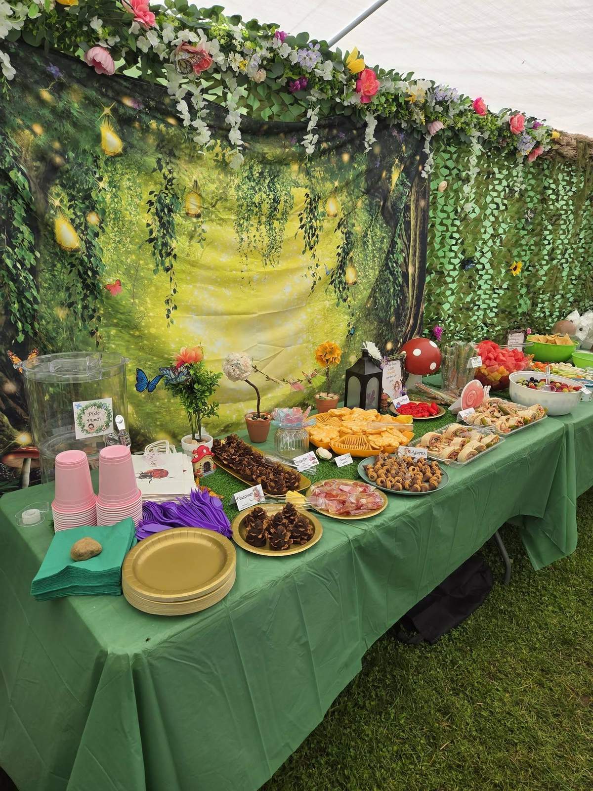 Shrek & Fairies Shared Party - shrek fairies