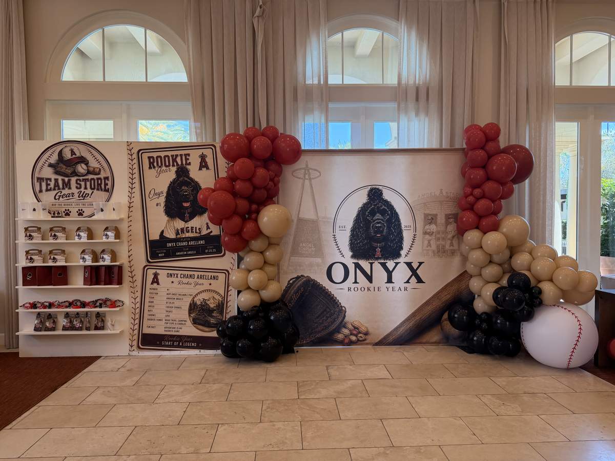 Onyx Rookie Year  - Baseball 