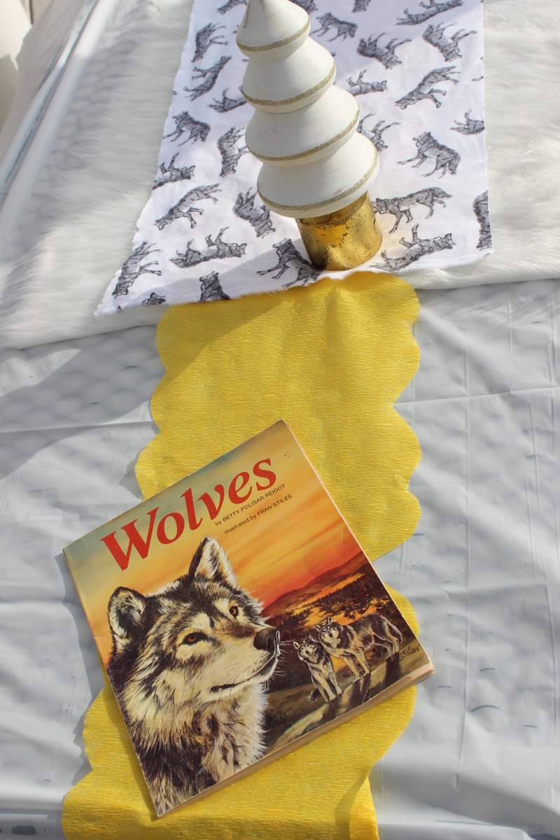 Wolf baby shower Baby Shower Party Ideas Photo 2 of 237 Catch My Party