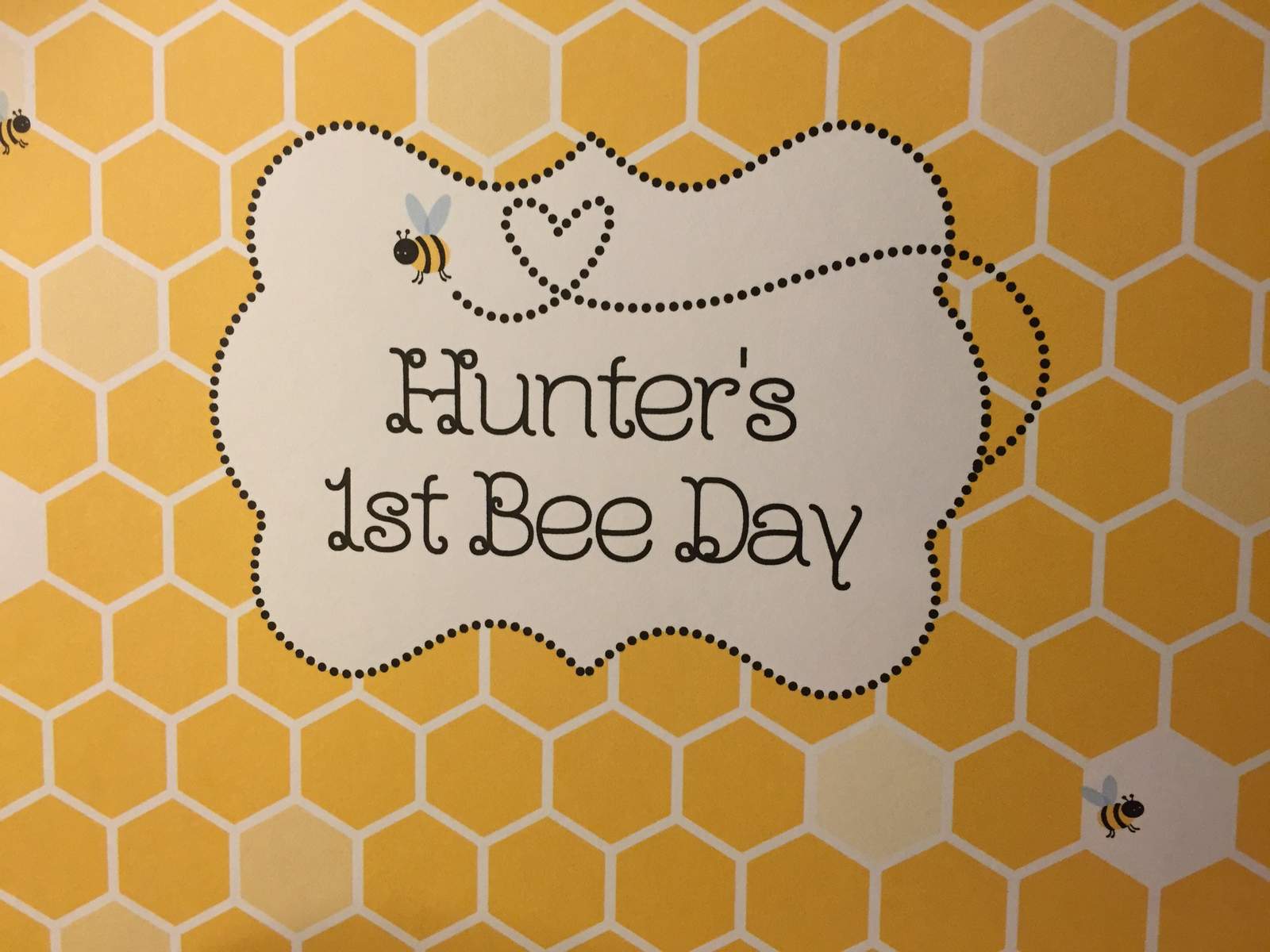 Hunter's 1st bee day - Bumble Bees