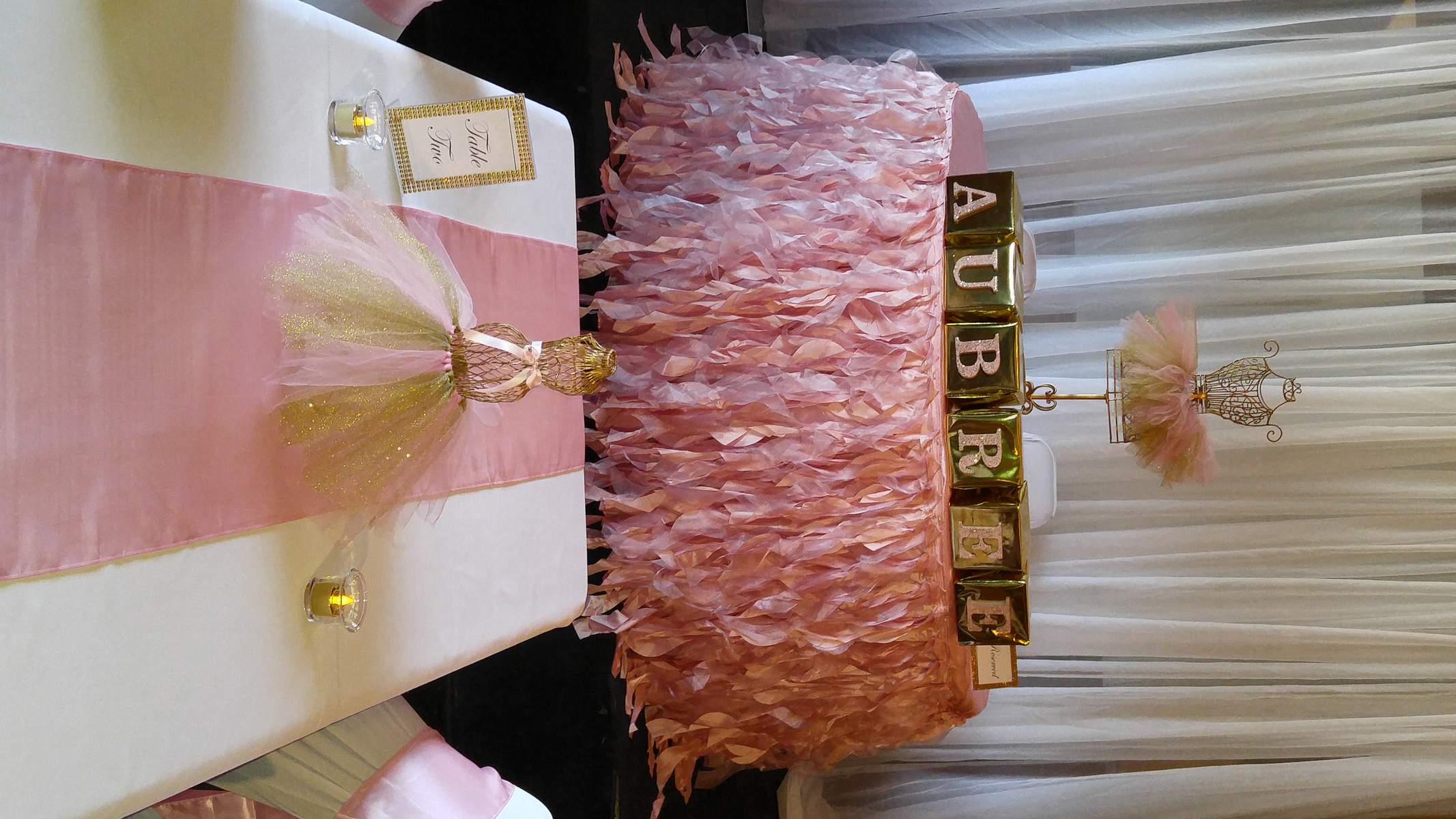 Aubree's Baby Shower - Pink, Gold, and Tutus