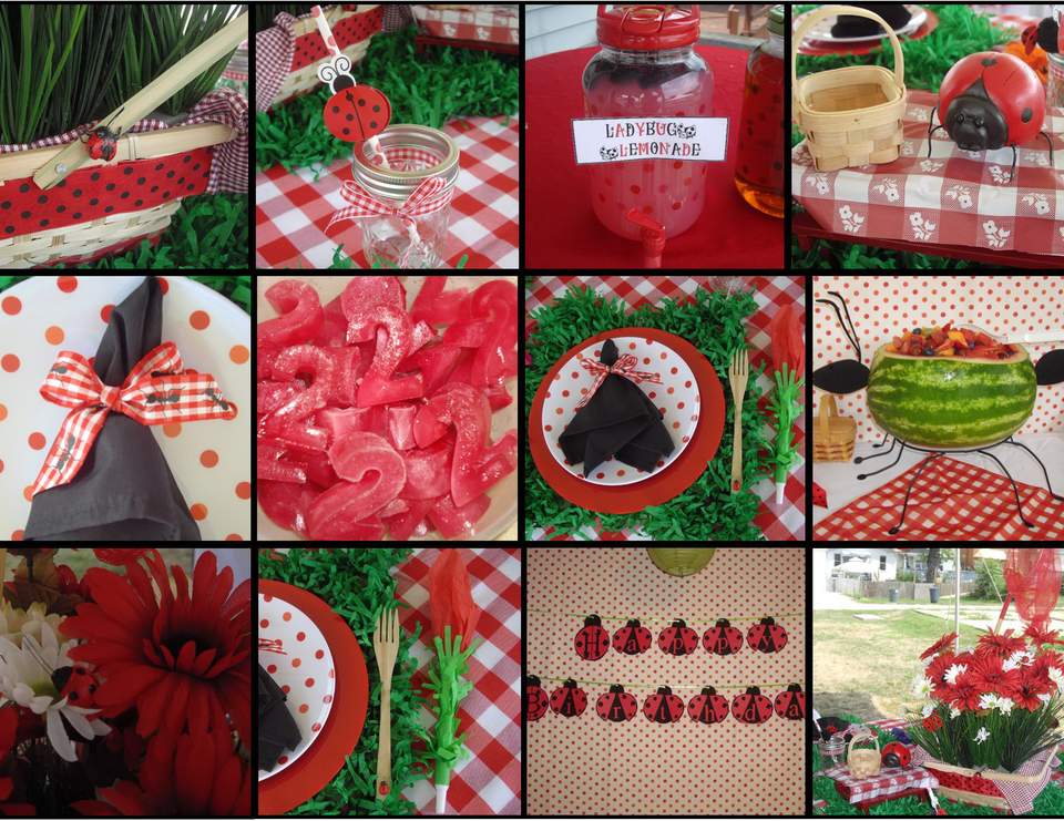 Ladybug Picnic / Birthday "Adaline's Ladybug Picnic" Catch My Party