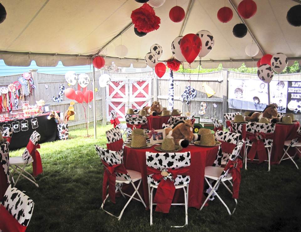 Farm Barnyard Birthday Ricky s Barnyard Bash Catch My Party