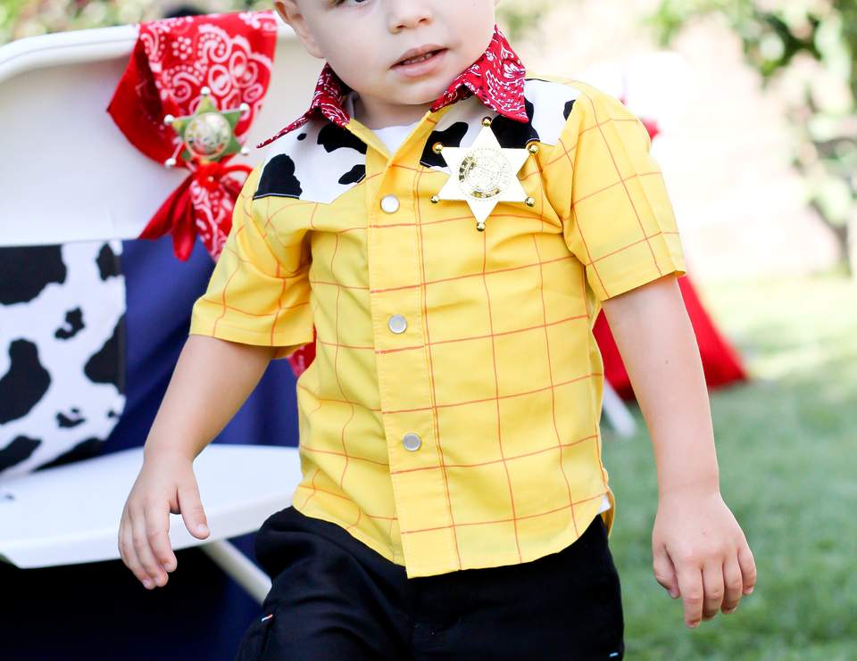 Toy Story Birthday Logans Birthday Story Catch My Party