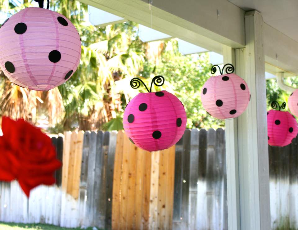 Pink & Red Ladybugs / Birthday "Little Lady Pink Ladybug Party" Catch