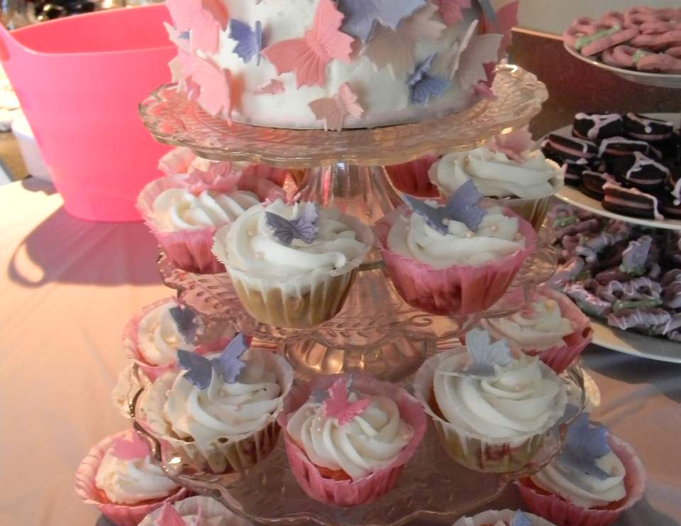 Butterflies / Bridal/Wedding Shower "Butterfly Bridal Shower" Catch