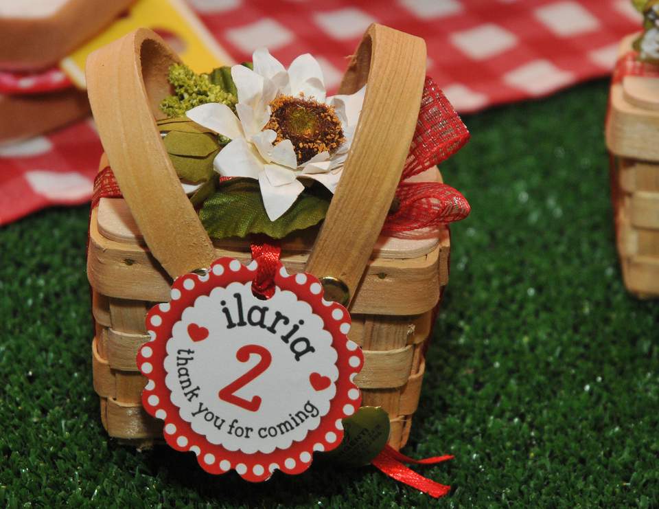 Birthday "Peppa Pig Picnic Party" Catch My Party