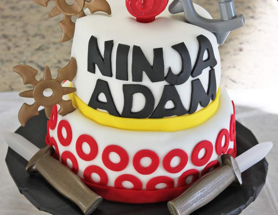 Ninja / Birthday &ldquo;Ninja Birthday Party!&rdquo; | Catch My Party