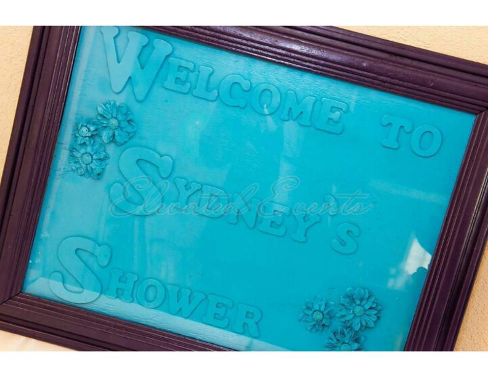 Adorable / Baby Shower "Honoring Baby Sydney " Catch My Party
