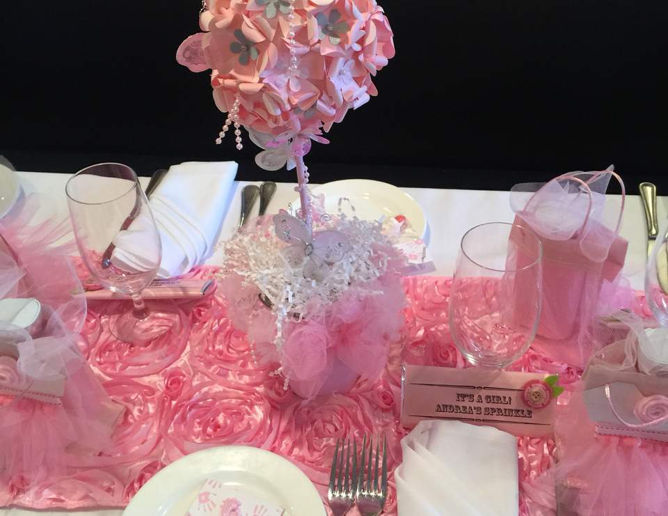 Pink / Baby Shower "Pink Baby Sprinkle" Catch My Party