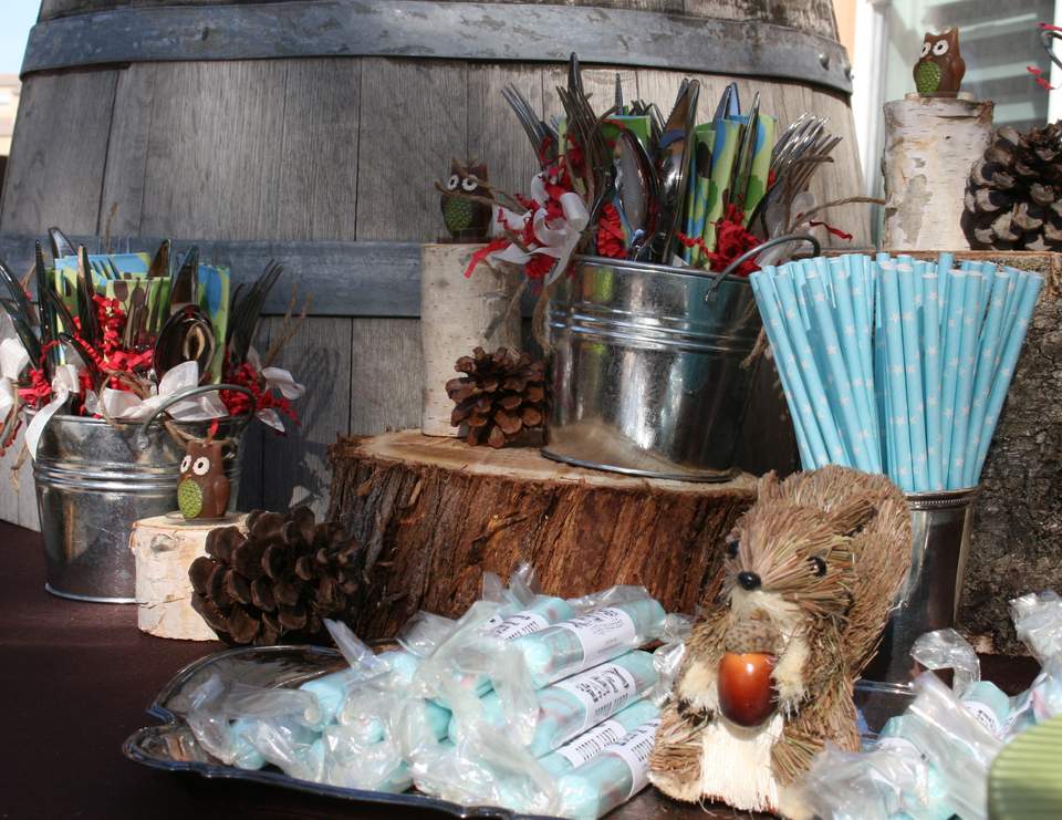 Woodland / Baby Shower "Woodland Baby Shower" Catch My Party