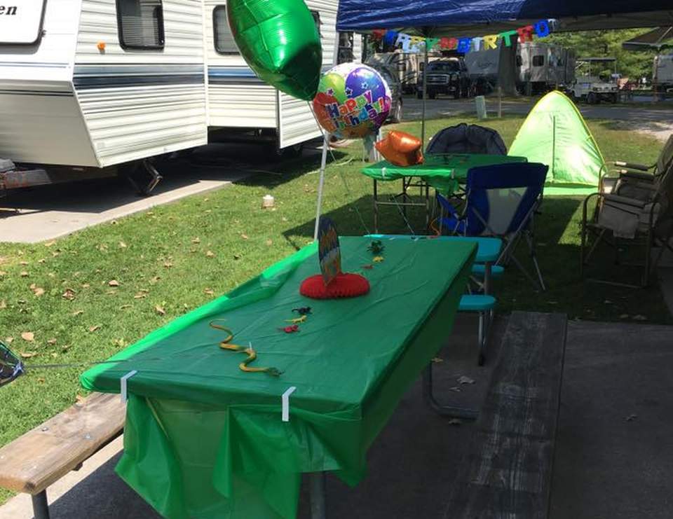 Snakes / Reptiles / Birthday