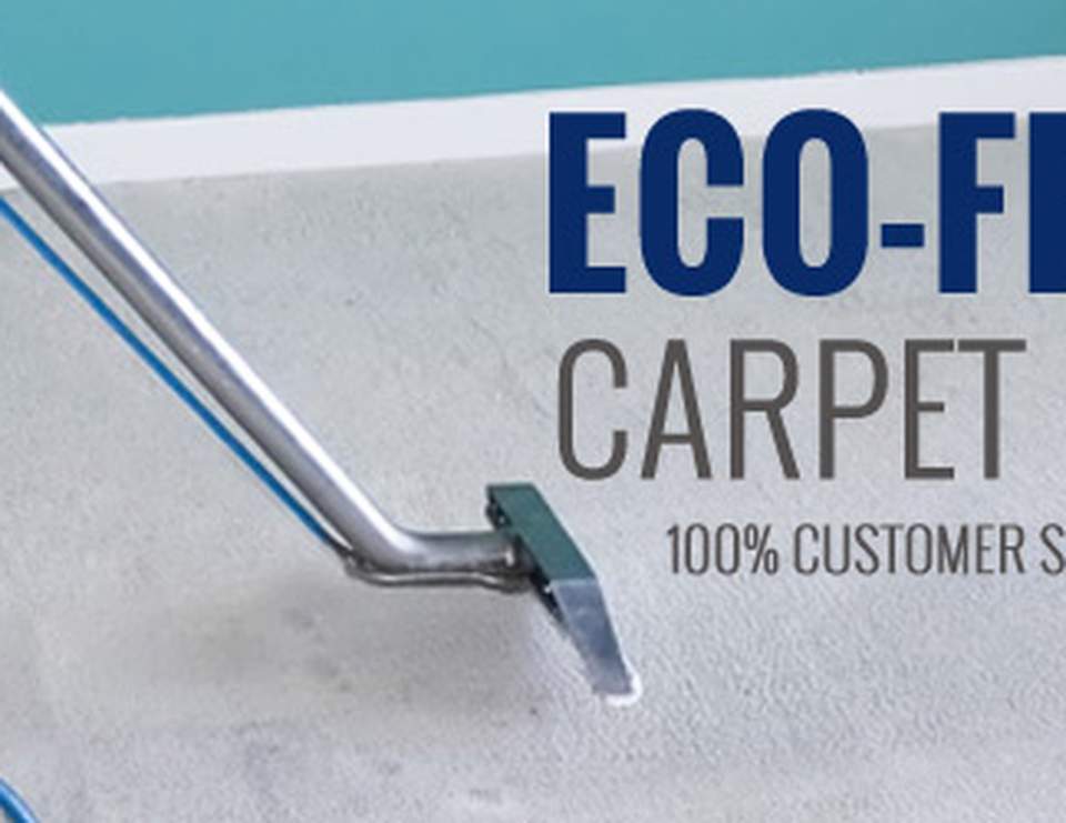 Carpet Cleaning Sydney / 4th of July "Carpet Cleaning Sydney" Catch