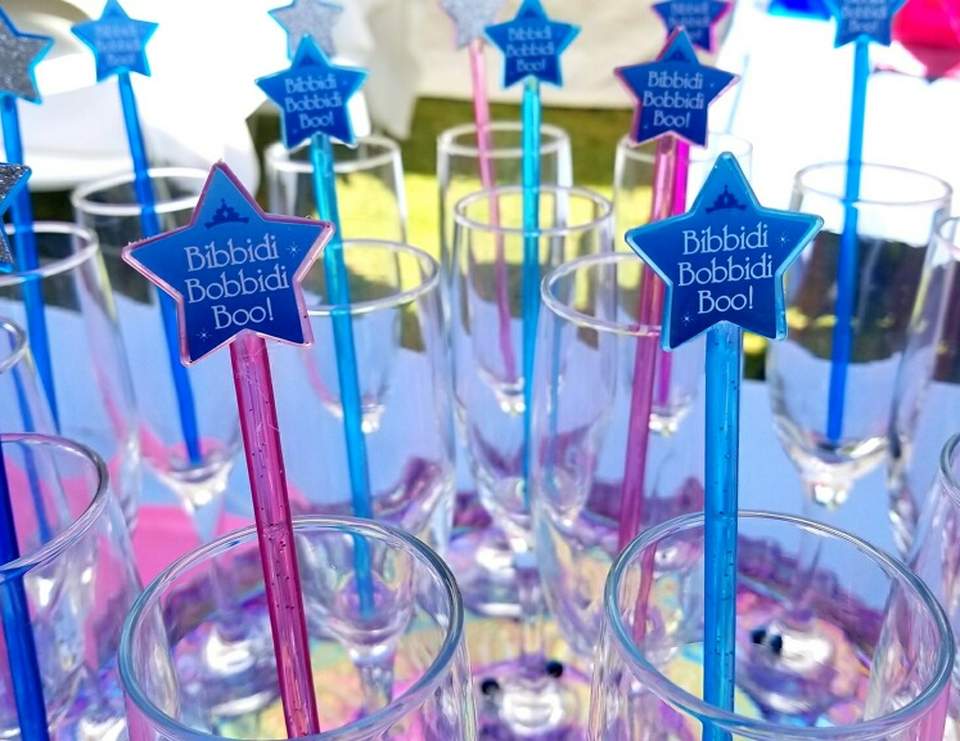 Princess / Birthday &ldquo;Bibbidi Bobbidi Boo, Cristy Turns 32!&rdquo; | Catch My