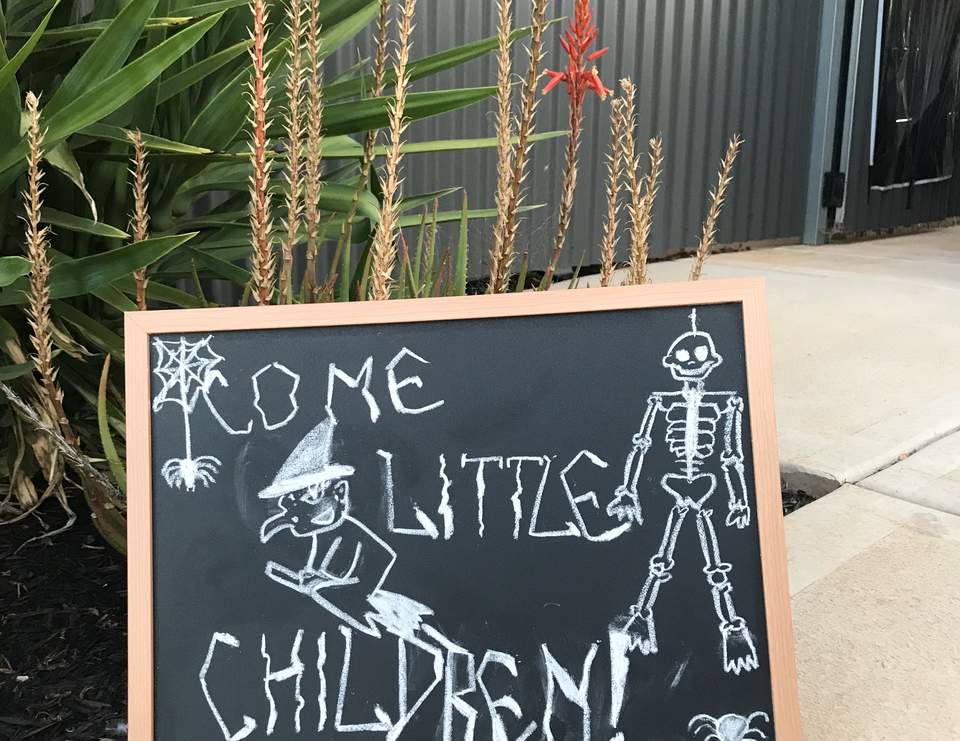 Halloween Outdoor movie Night  - Outdoor movie night Hocas Pocaus 