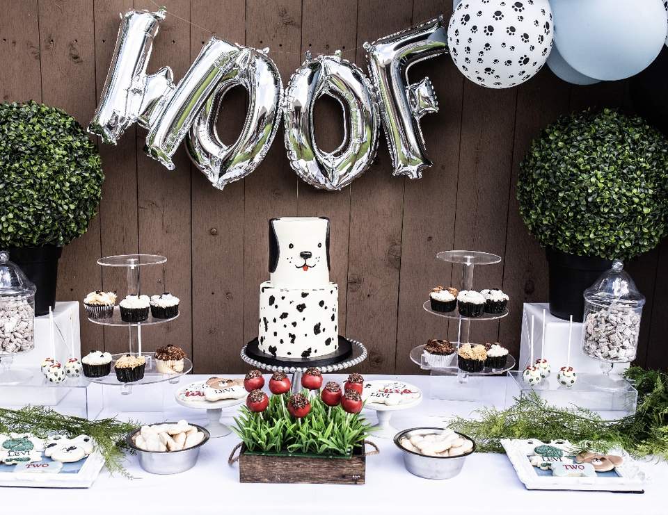 Levi’s Puppy Party - Puppy Party