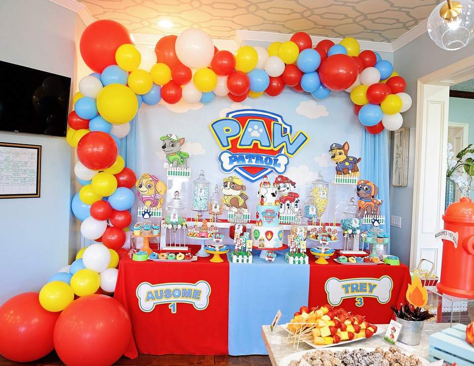 Paw Patrol Birthday - Paw Patrol
