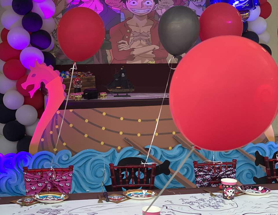 one piece / Birthday "one piece" Catch My Party