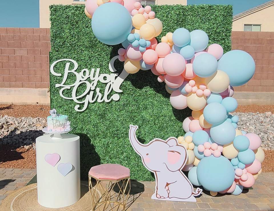 Boy or Girl what will it be? - Baby Elephant