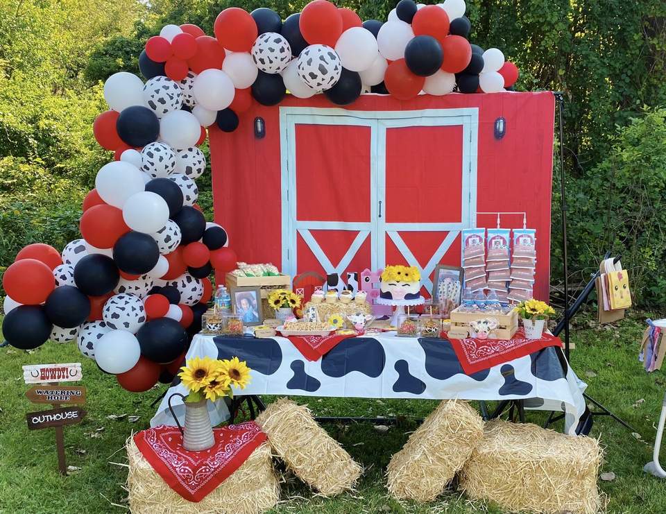 Willow’s Farm Party - Farm