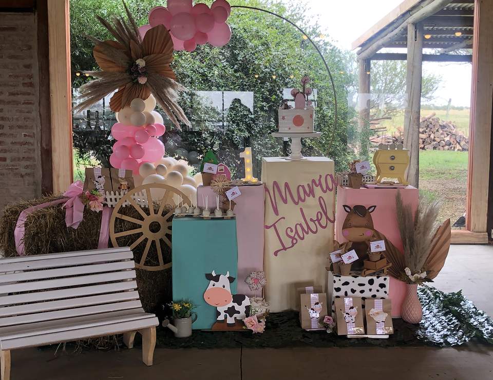 Maria Isabel's first party - Farm
