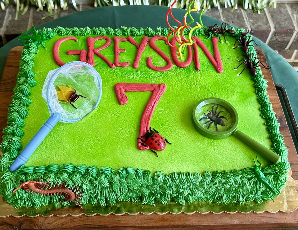 Buggin’ Out - Greyson’s 7!!  - Bug Party