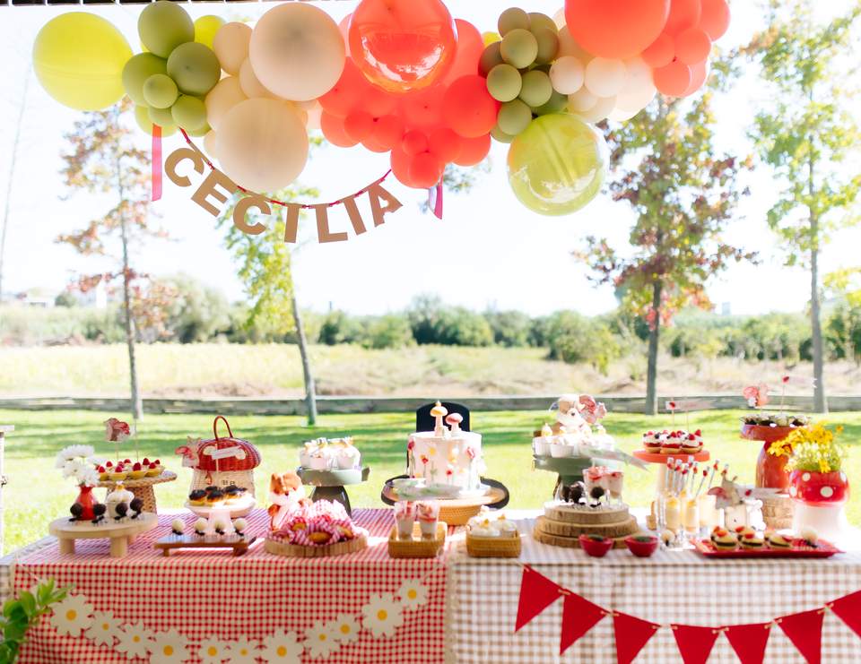 Cecília´s First Birthday! - Picnic