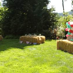 4th Of July County Fair Catch My Party