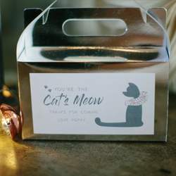 Alley Cats / Birthday "Kitty Kat" | Catch My Party