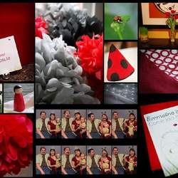 Ladybug First Birthday - Ladybug