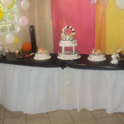 My twin girls 4 birthday party - Colorful Zebra Party