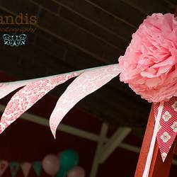 Farm Chic  - Girlie Farm Party