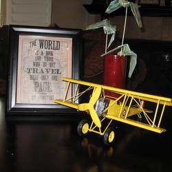 Vintage Airplane Birthday party - None